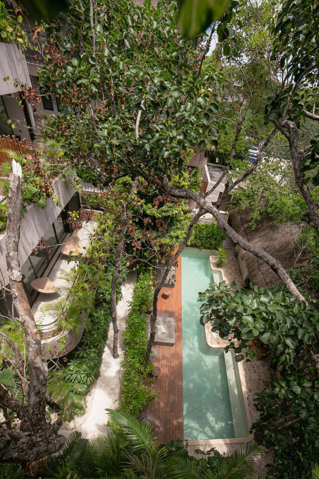 Zereno Tulum Beach Club Access Bagian luar foto